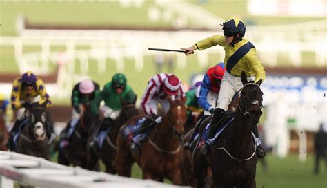 supreme novices hurdle bookmakers|Supreme Novices Hurdle Preview, Tips, Runners & Trends (Cheltenham.